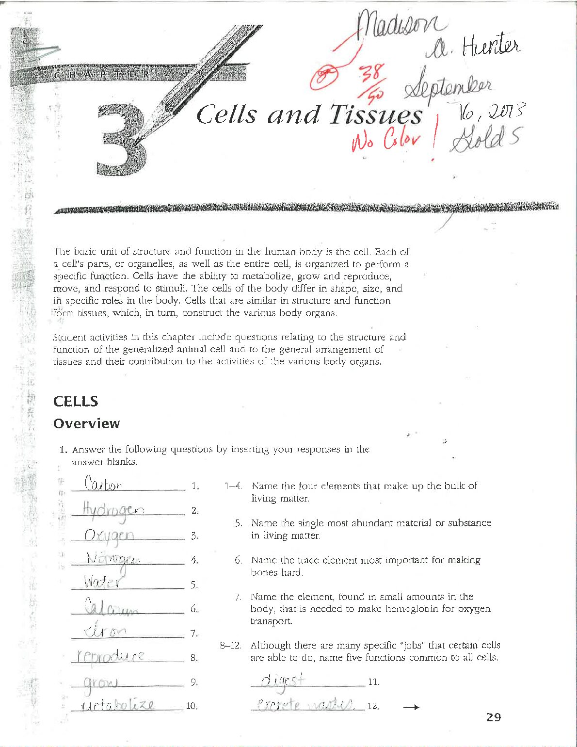 Anatomy_Cells_and_Tissue_Worksheet.pdf Preview 1