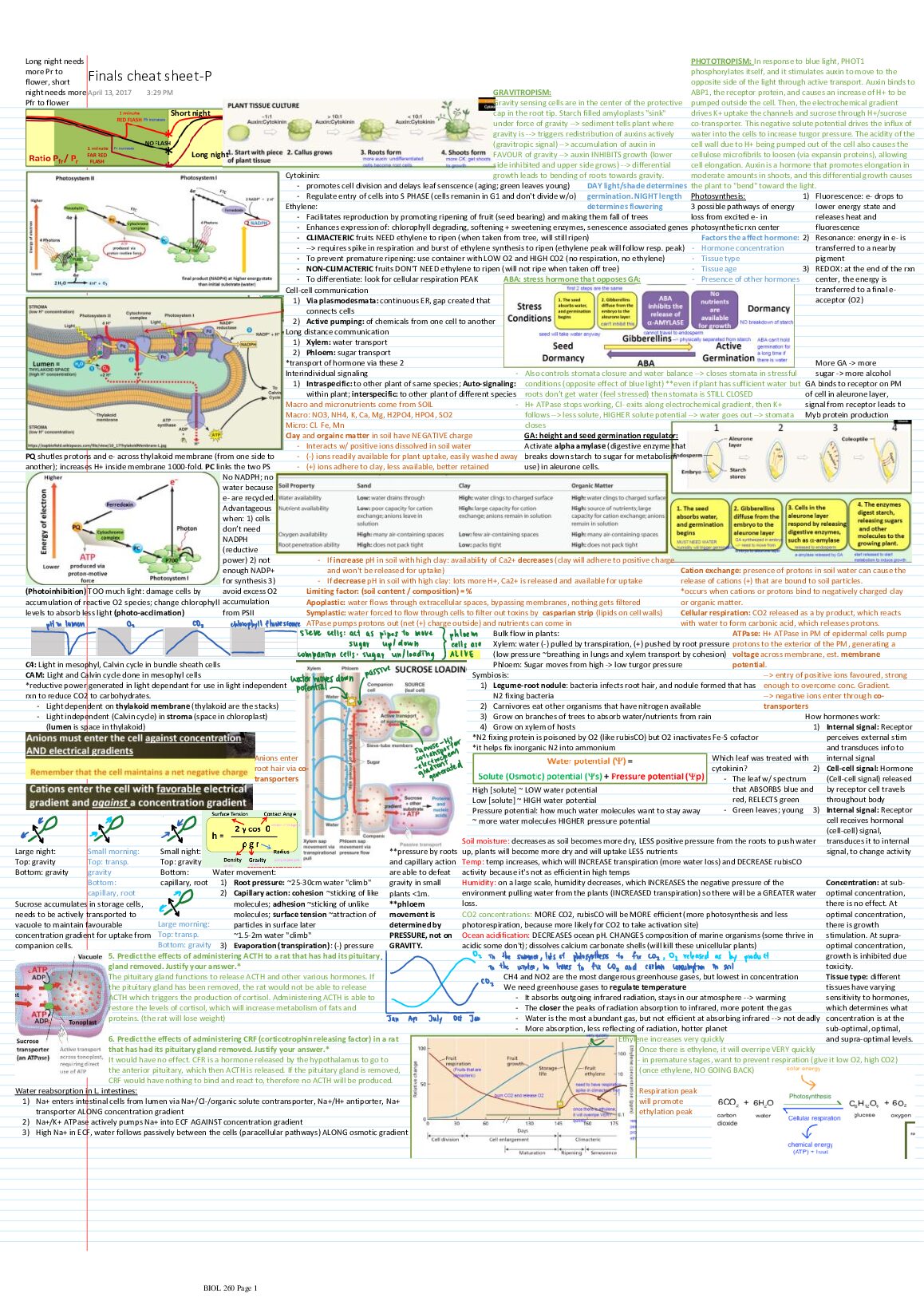 pdf (38).pdf Preview 1