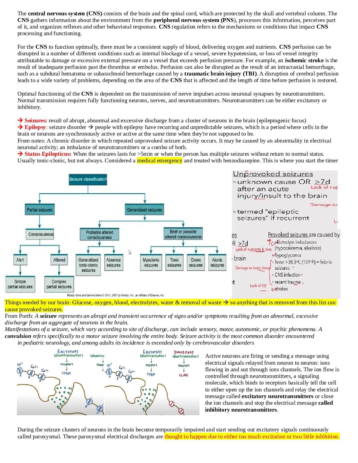 BSNC_6000___Mod_6_CNS___Skin_integrity.docx.pdf Preview 1