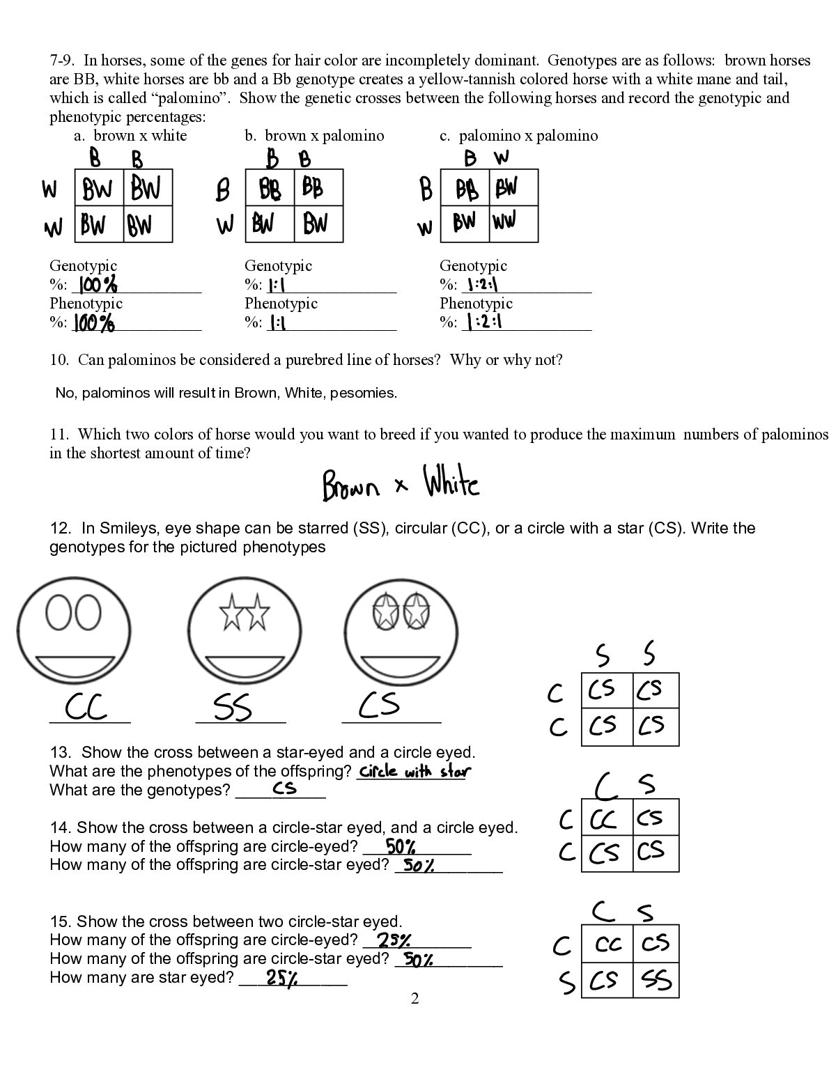 SCI 100  Non-Mendelian Genetics Practice Packet document preview page 2