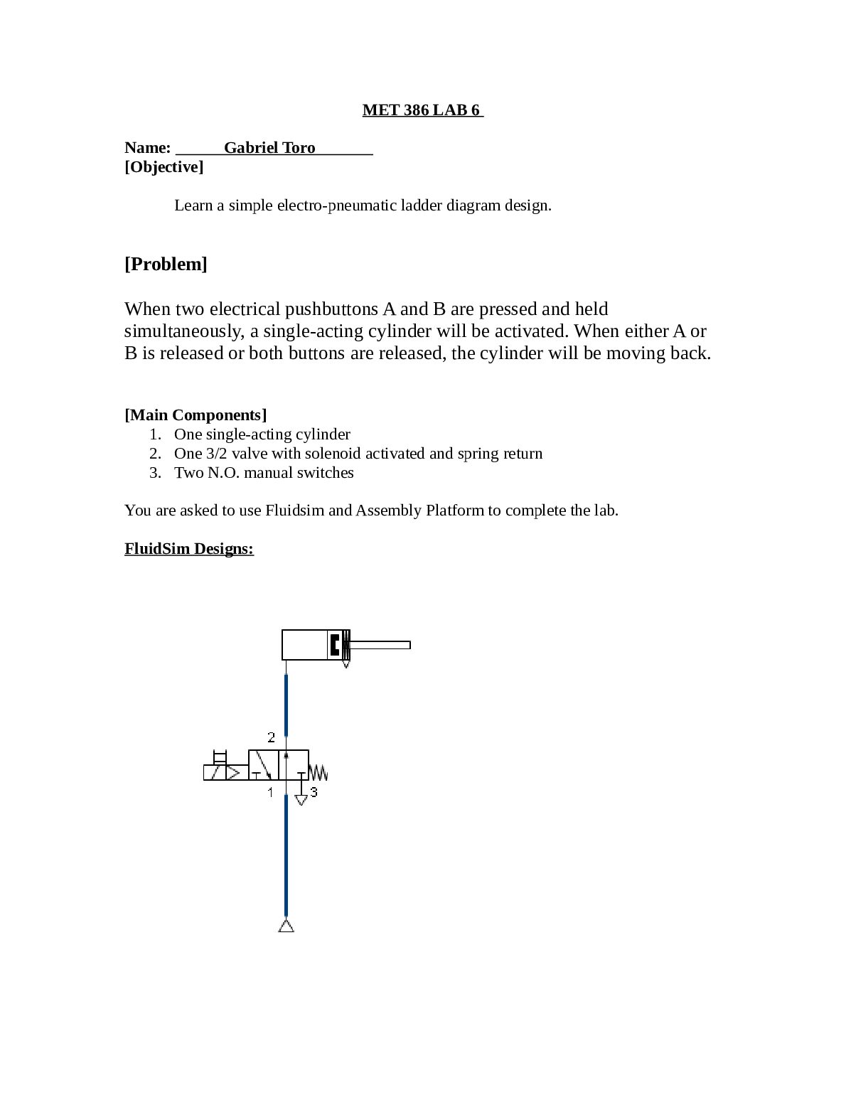 met_386_lab_6_GT.docx.pdf Preview 1