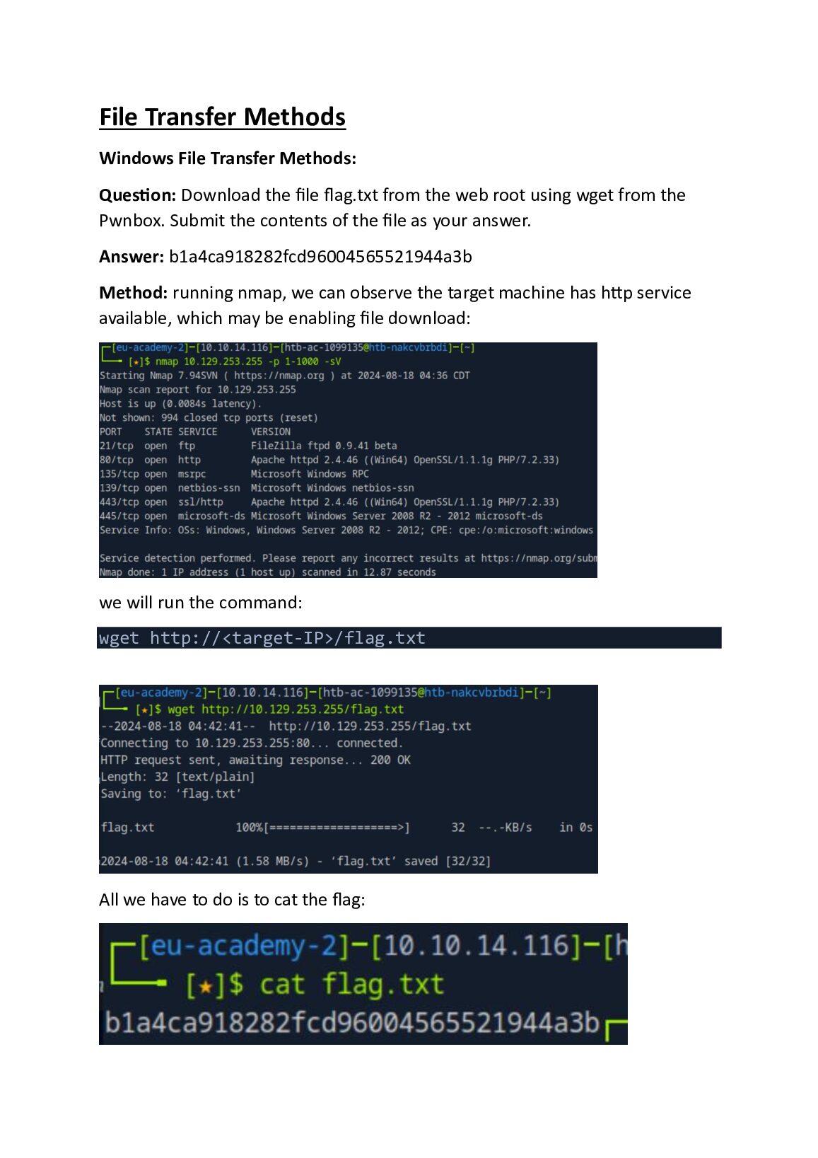 File Transfers Hack The Box Module 24 document preview page 2