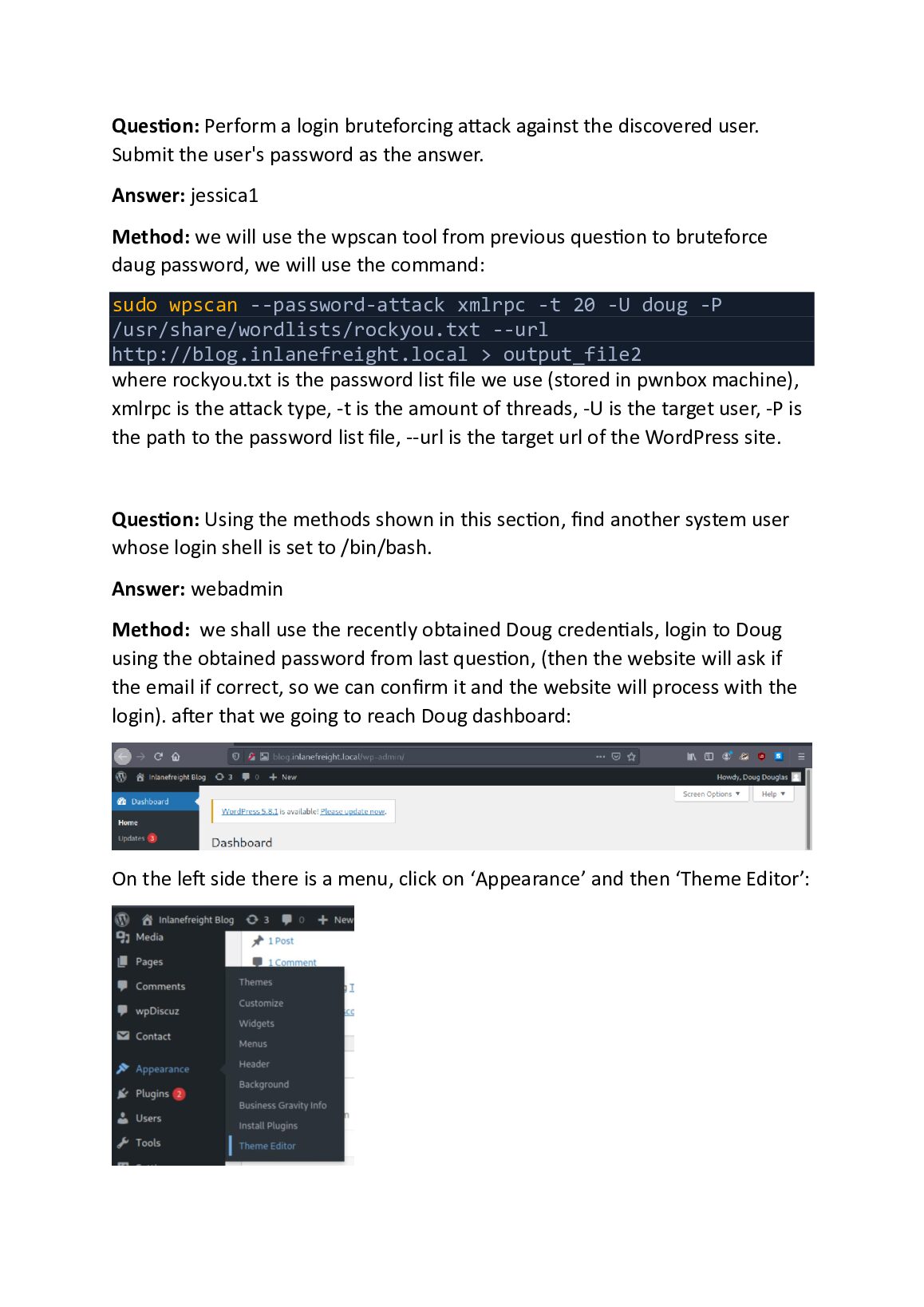 Attacking Common Applications: Hack The Box Module 113 document preview page 10