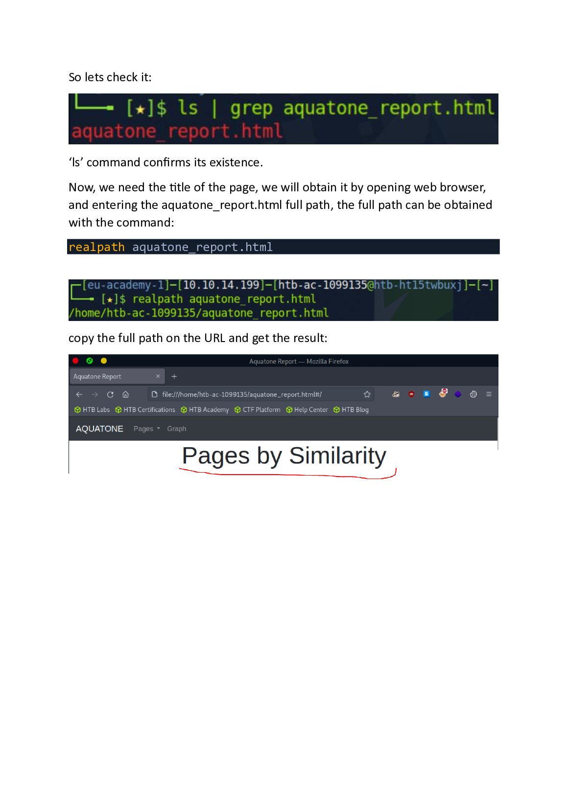 Attacking Common Applications: Hack The Box Module 113 document preview page 4