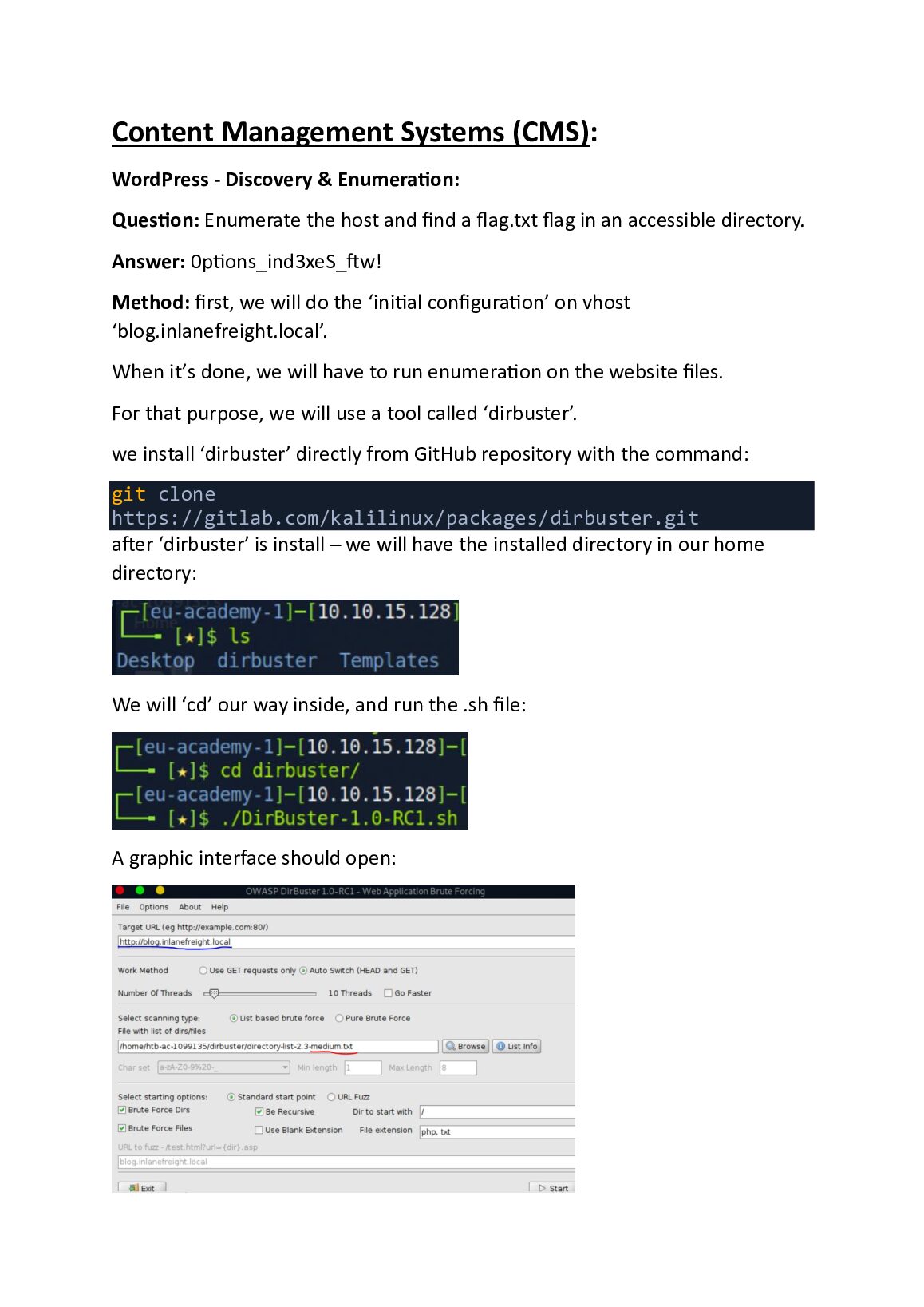 Attacking Common Applications: Hack The Box Module 113 document preview page 5