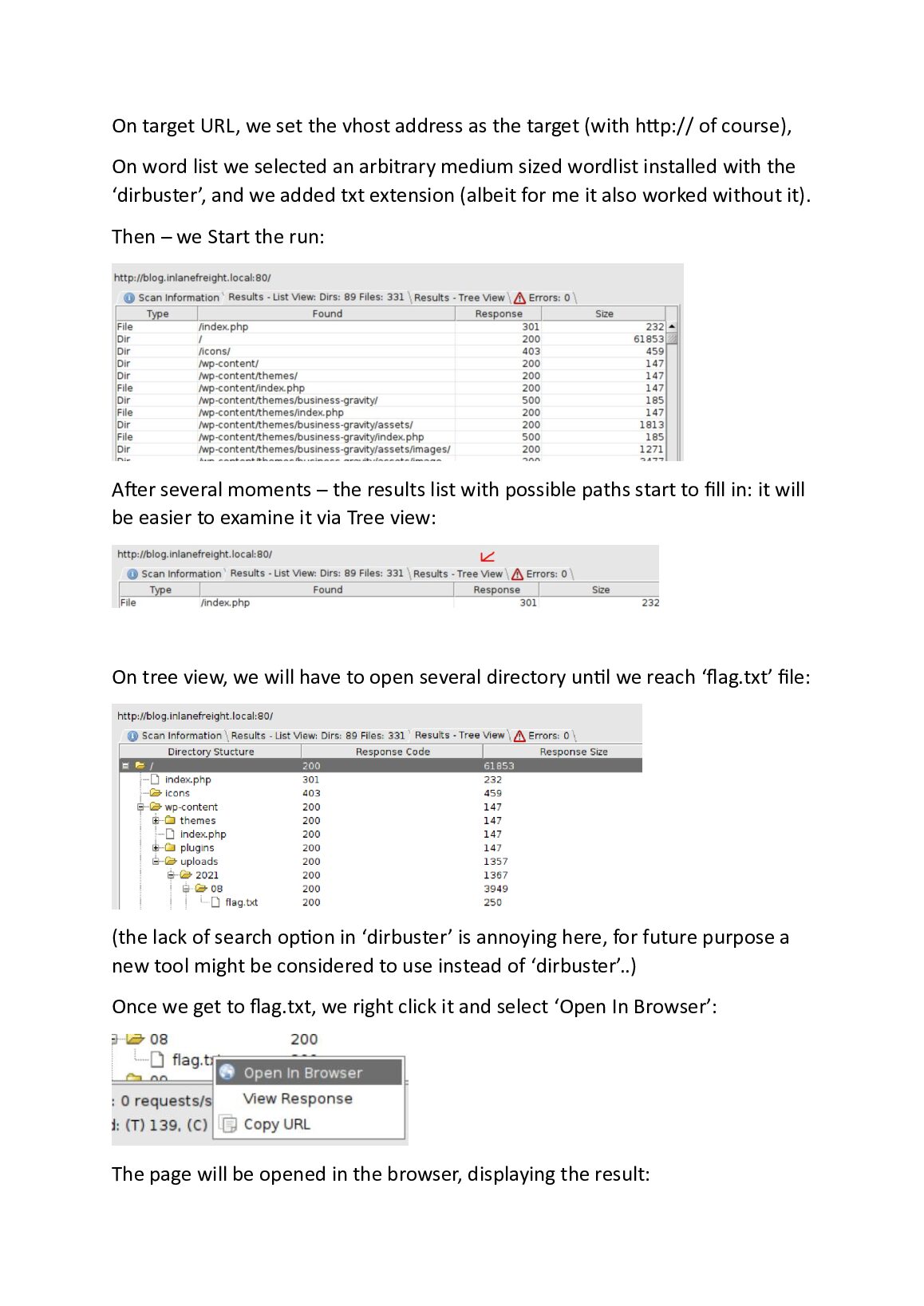 Attacking Common Applications: Hack The Box Module 113 document preview page 6