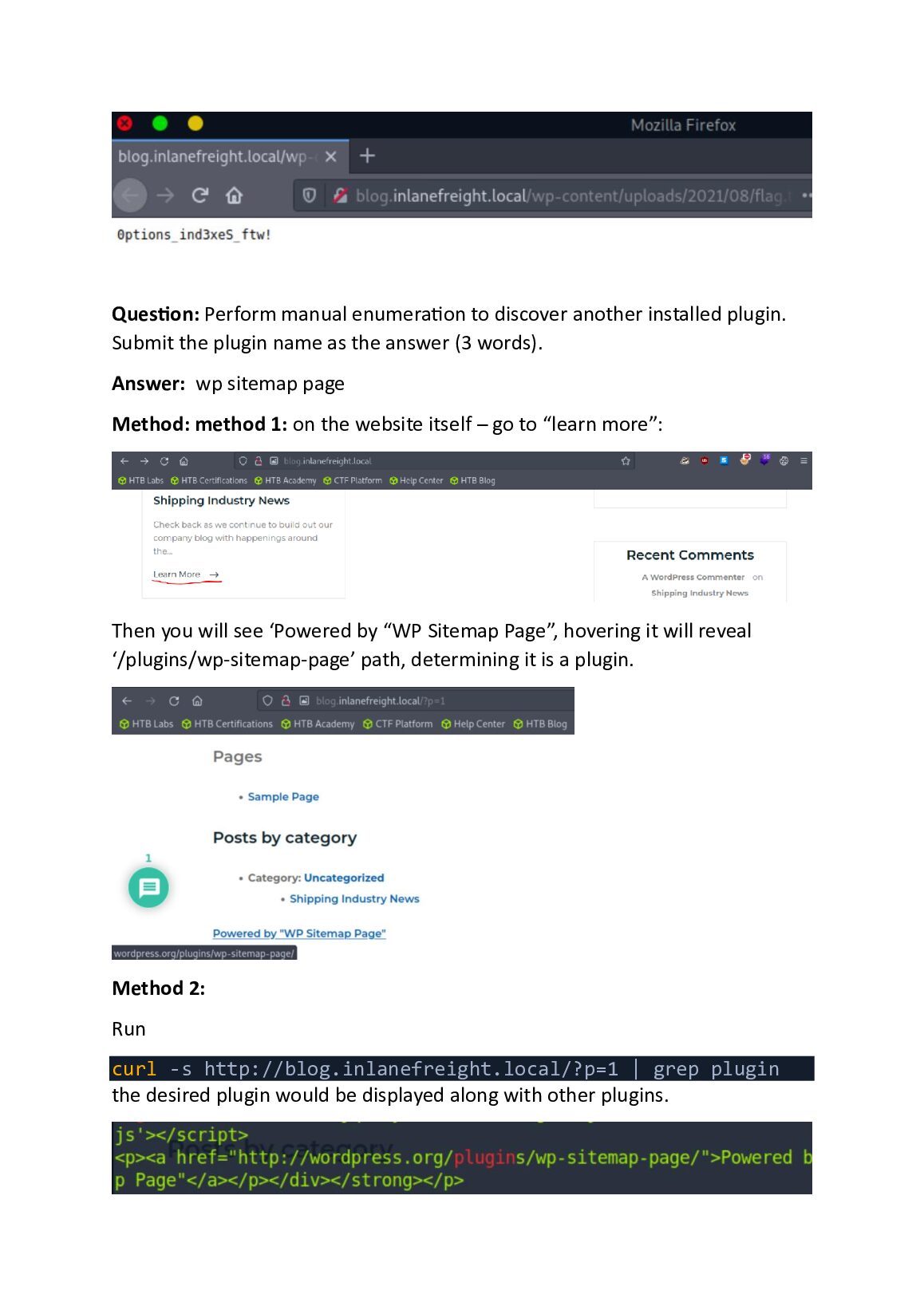 Attacking Common Applications: Hack The Box Module 113 document preview page 7