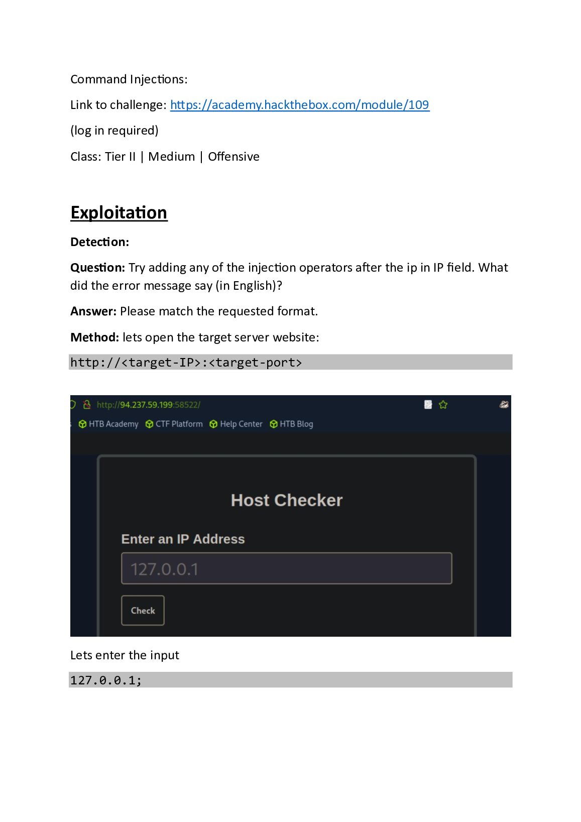 Command_Injections.pdf.pdf Preview 1