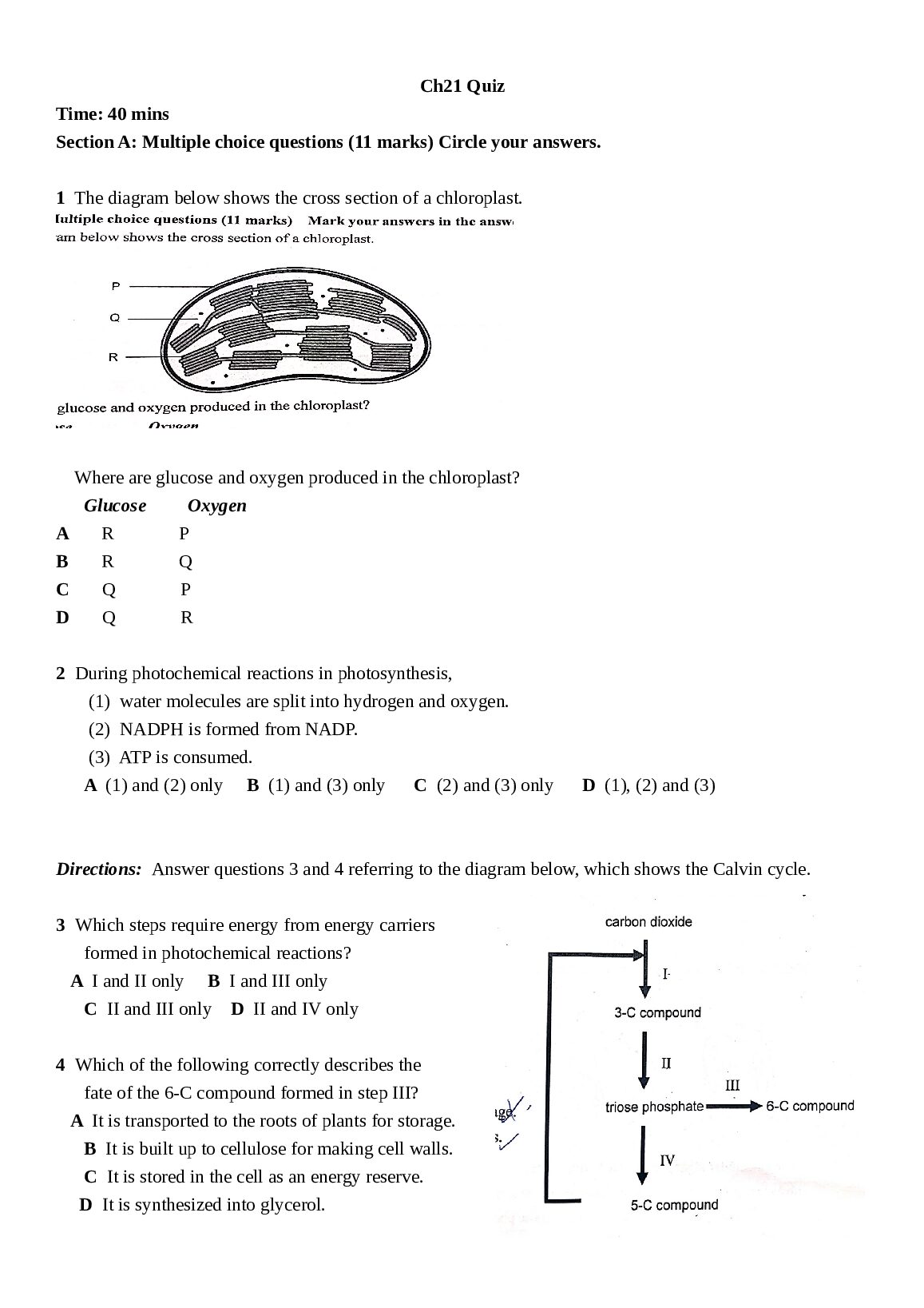 Descriptive Statistics and  Visualization:  Univariate preview image