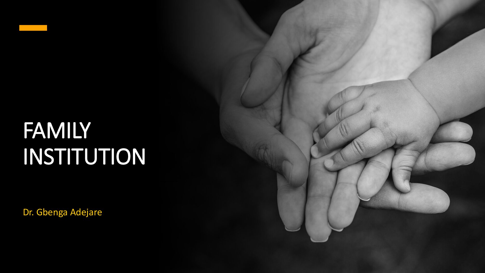 SOCI 201 Family Institution . preview image