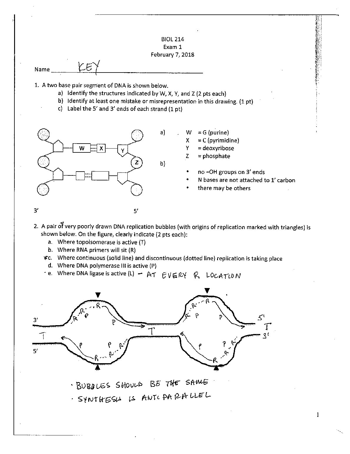 BIOL 214 Exam 1 February 7, 201 preview image