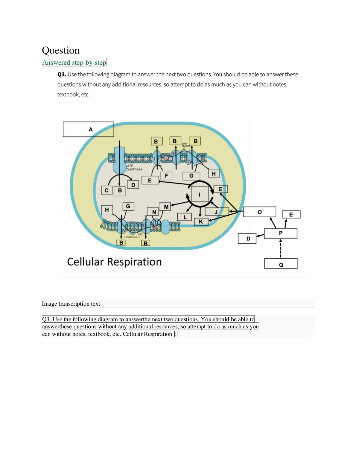 Q3. Use the following diagram to answerthe next two questions. You should be able to answerthese questions without any a... preview image