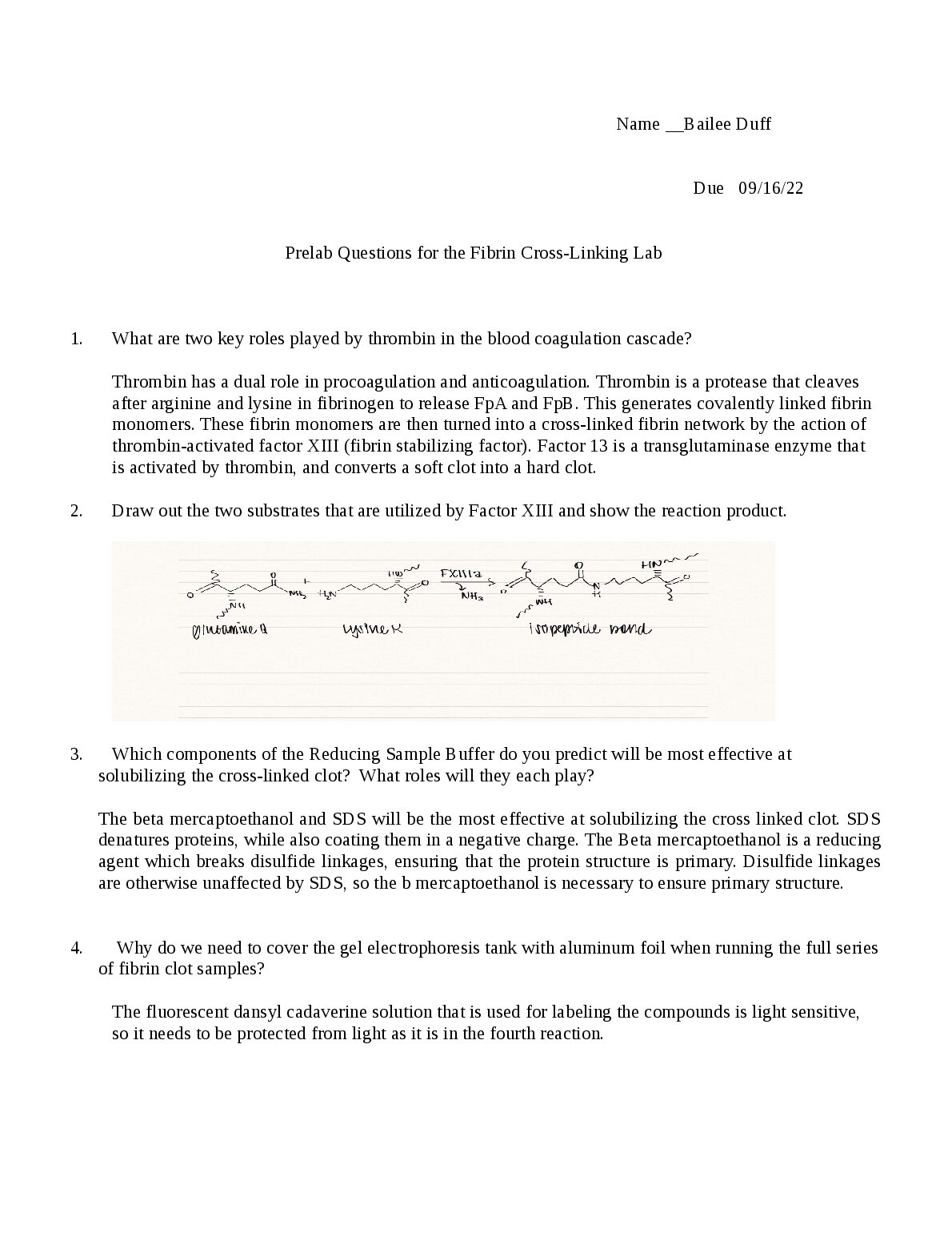 CHEM 546  Prelab Questions for the Fibrin Cross-Linking Lab preview image
