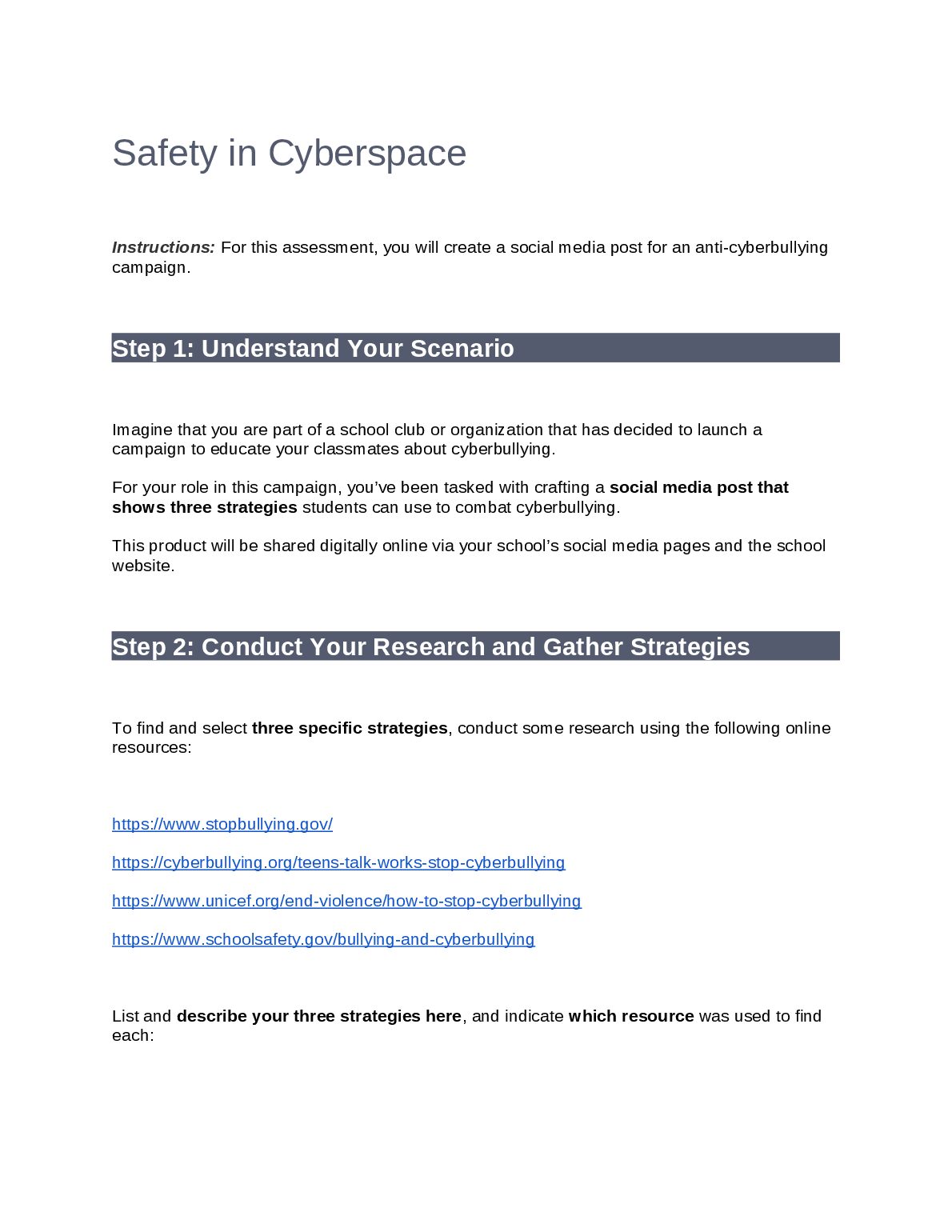 Safety in Cyberspace-Amariah preview image